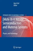 Dilute III-V Nitride Semiconductors and Material Systems (eBook, PDF)