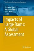 Impacts of Large Dams: A Global Assessment (eBook, PDF)
