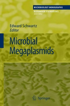 Microbial Megaplasmids (eBook, PDF)
