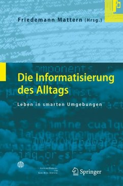 Die Informatisierung des Alltags (eBook, PDF)