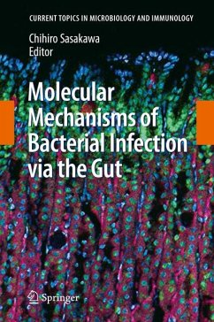 Molecular Mechanisms of Bacterial Infection via the Gut (eBook, PDF)