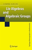 Lie Algebras and Algebraic Groups (eBook, PDF)