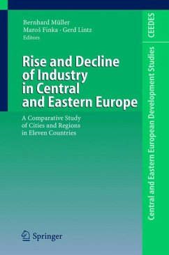 Rise and Decline of Industry in Central and Eastern Europe (eBook, PDF)