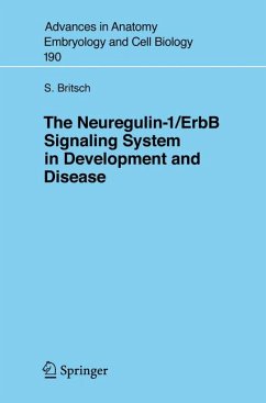 The Neuregulin-I/ErbB Signaling System in Development and Disease (eBook, PDF) - Britsch, Stefan