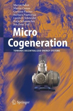 Micro Cogeneration (eBook, PDF) - Pehnt, Martin; Cames, Martin; Fischer, Corinna; Praetorius, Barbara; Schneider, Lambert; Schumacher, Katja; Voß, Jan-Peter