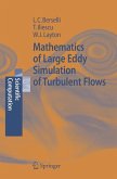 Mathematics of Large Eddy Simulation of Turbulent Flows (eBook, PDF)