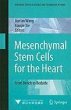Mesenchymal Stem Cells for the Heart... - Bild 1