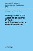 A Reappraisal of the Ascending Systems in Man, with Emphasis on the Medial Lemniscus (eBook, PDF)