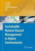 Sustainable Natural Hazard Management in Alpine Environments (eBook, PDF)
