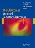 The Glaucomas (eBook, PDF)