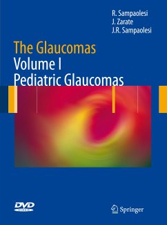 The Glaucomas (eBook, PDF) - Sampaolesi, Roberto; Zarate, Jorge; Sampaolesi, Juan Roberto