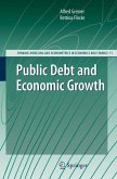 Public Debt and Economic Growth (eBook, PDF)