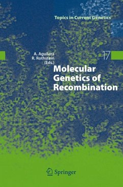 Molecular Genetics of Recombination (eBook, PDF)