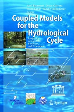 Coupled Models for the Hydrological Cycle (eBook, PDF)