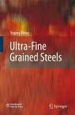 Ultra-Fine Grained Steels (eBook, PDF)