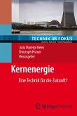 Kernenergie (eBook, PDF)