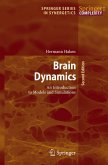 Brain Dynamics (eBook, PDF)