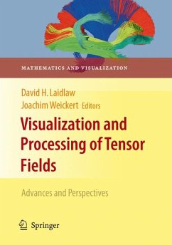 Visualization and Processing of Tensor Fields (eBook, PDF)