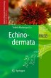 Echinodermata (eBook, PDF) - Bild 1