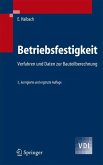 Betriebsfestigkeit (eBook, PDF)