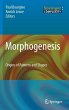 Morphogenesis (eBook, PDF) - Bild 1