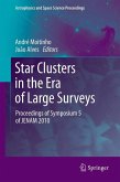 Star Clusters in the Era of Large Surveys (eBook, PDF)