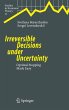Irreversible Decisions under... - Bild 1