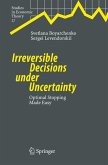 Irreversible Decisions under Uncertainty (eBook, PDF)