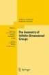 The Geometry of Infinite-Dimensional... - Bild 1