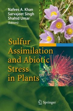 Sulfur Assimilation and Abiotic Stress in Plants (eBook, PDF)