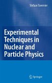 Experimental Techniques in Nuclear and Particle Physics (eBook, PDF)