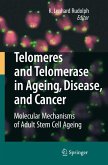 Telomeres and Telomerase in Aging, Disease, and Cancer (eBook, PDF)