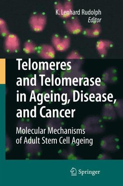 Telomeres and Telomerase in Aging, Disease, and Cancer (eBook, PDF)