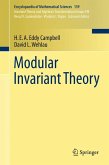 Modular Invariant Theory (eBook, PDF)