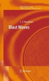 Blast Waves (eBook, PDF)