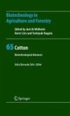 Cotton (eBook, PDF)