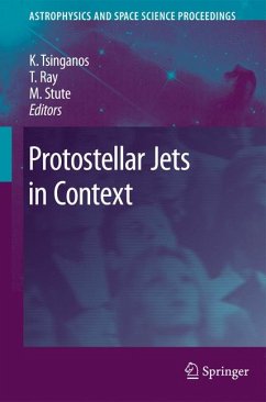 Protostellar Jets in Context (eBook, PDF)