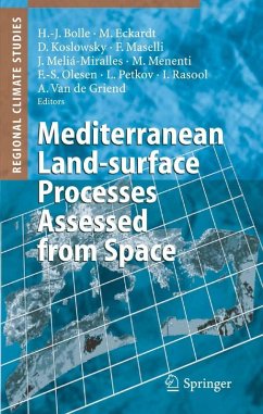 Mediterranean Land-surface Processes Assessed from Space (eBook, PDF)