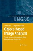 Object-Based Image Analysis (eBook, PDF)