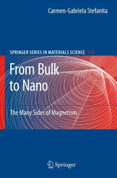 From Bulk to Nano (eBook, PDF) - Stefanita, Carmen-Gabriela