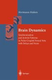 Brain Dynamics (eBook, PDF)