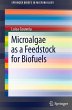 Microalgae as a Feedstock for Biofuels... - Bild 1