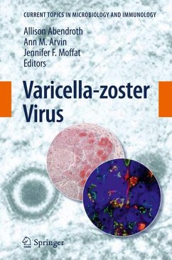 Varicella-zoster Virus (eBook, PDF)