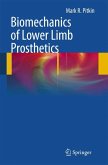 Biomechanics of Lower Limb Prosthetics (eBook, PDF)