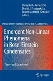 Emergent Nonlinear Phenomena in Bose-Einstein Condensates (eBook, PDF)