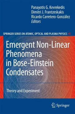 Emergent Nonlinear Phenomena in Bose-Einstein Condensates (eBook, PDF)