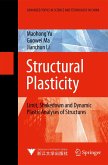 Structural Plasticity (eBook, PDF)