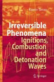 Irreversible Phenomena (eBook, PDF)