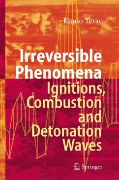 Irreversible Phenomena (eBook, PDF) - Terao, Kunio