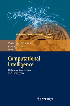 Computational Intelligence (eBook, PDF)